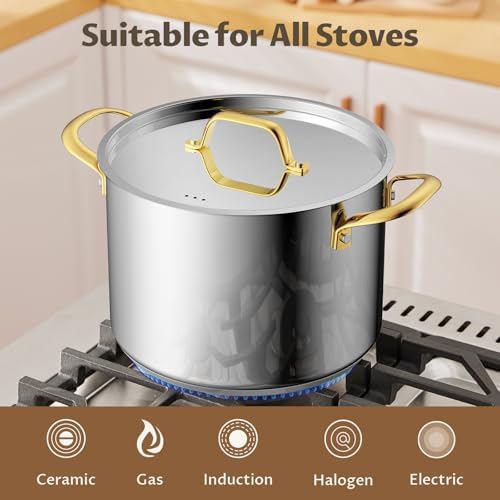 BEZIA 8 QT Stainless Steel Stock Pot with Lid, Uncoated Cooking Pot