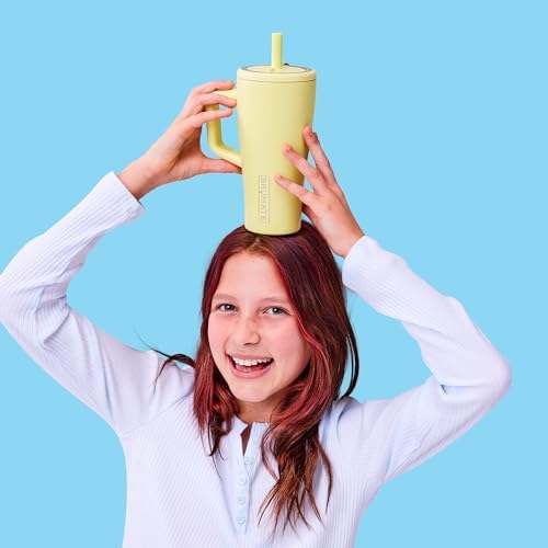 BrüMate Era 20 oz Tumbler with Handle and Straw | 100% Leakproof Insulated Tumbler with Lid and Straw | Made of Stainless Steel | Cup Holder Friendly Base | 20oz (Matte Black)
