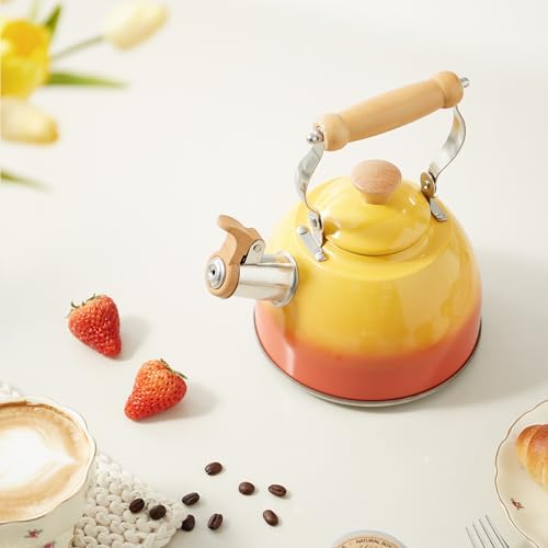 ROCKURWOK 1.6 Qt Tea Kettles Stovetop Whistling Fast Boil, Orange