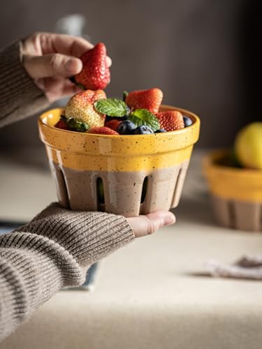 Gomakren Ceramic Berry Bowl Set of 2 Harvest Fruit Basket, Yellow + Brown