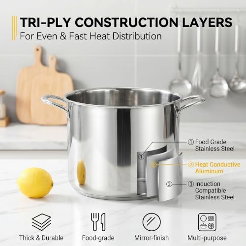 Homikit Large Stock Pot 14 Quart, Stainless Steel Chicken Soup Pot with Lid for Canning Steaming Stewing, Tri-ply Heavy Bottom Cooking Boiling Pasta Induction Stockpot, Dishwasher Safe