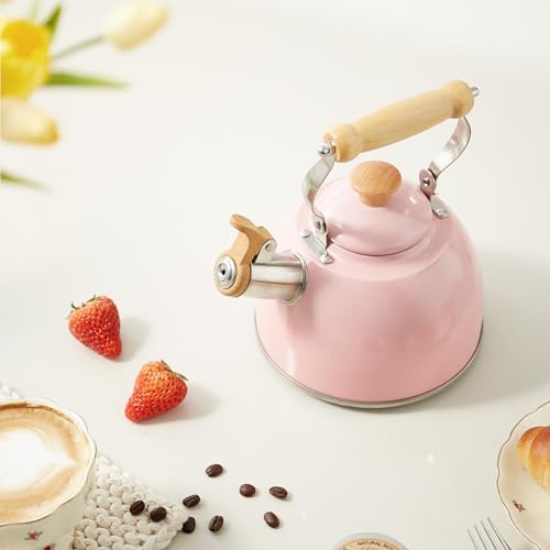 ROCKURWOK Whistling Tea Kettle for Stove Top, 1.6 Qt Small Tea Pot, Pink