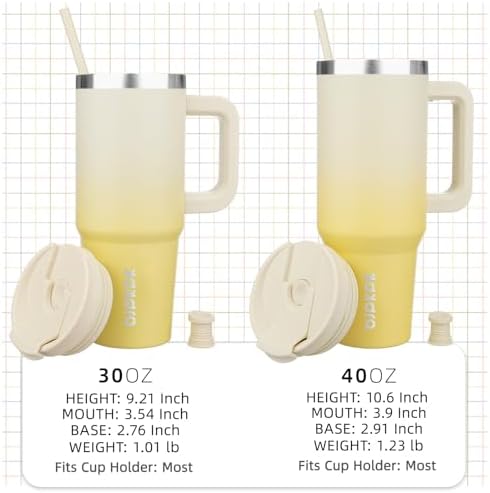 BJPKPK 30 oz Insulated Tumbler with Handle & Straw, Stainless Steel