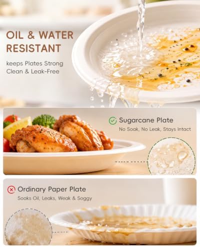 Goodluck 7 Inch White Compostable Sugarcane Paper Plates, 100 Pack