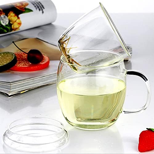 Glass Tea Cup with Infuser and Lid, 17 oz Clear Loose Leaf Tea Infuser Mug