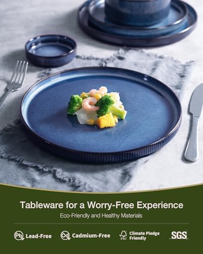Famiware Star Dinnerware Sets with Mugs, Ceramic Plates and Bowls Set for 4