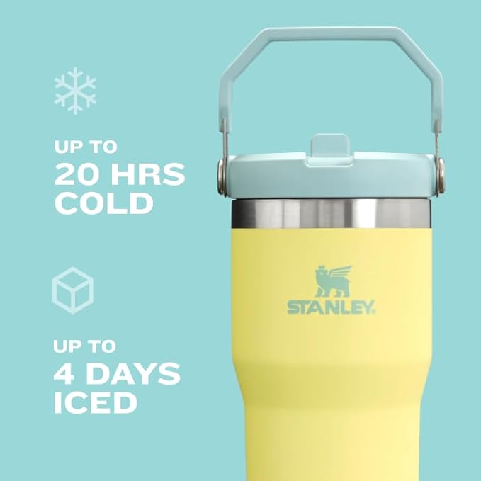 Stanley IceFlow Flip Straw Tumbler with Handle 20 oz | Twist On Lid and Flip Up Straw | Leak Resistant Water Bottle | Insulated Stainless Steel |BPA-Free | Tigerlily