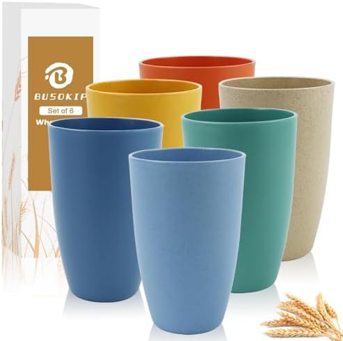 20 OZ Wheat Straw Cups, Large Plastic Cups Set of 6 (Multicolor)