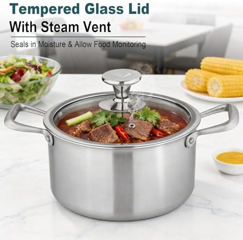 Titanium Soup Pot 6 Quart with Lid, Tri-Ply Induction Stock Pot