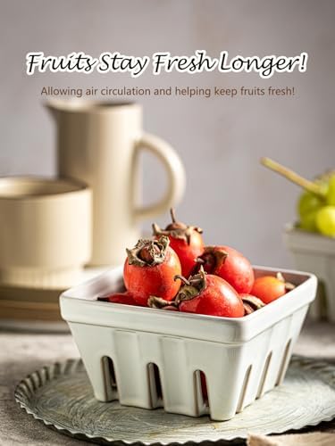 Gomakren Fruit Basket, Ceramic Berry Washing Bowl Set of 2, 5.7 Inch, White