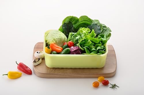 LocknLock Fresh-Block Plastic Food Storage Container | Produce Storage Containers for Fridge | Vegetable & Fruit Storage Containers for Fridge, Storage, Microwave & Dishwasher Safe, 3.2L
