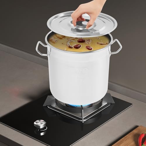 12 Quart 304 Stainless Steel Stockpot Commercial Large Stock Pot with Lid & Handles, Cookware Soup Pot for Boiling Cooking Stew, Induction Cooking Pot for Home Restaurant Hotel (12L/12Qt)