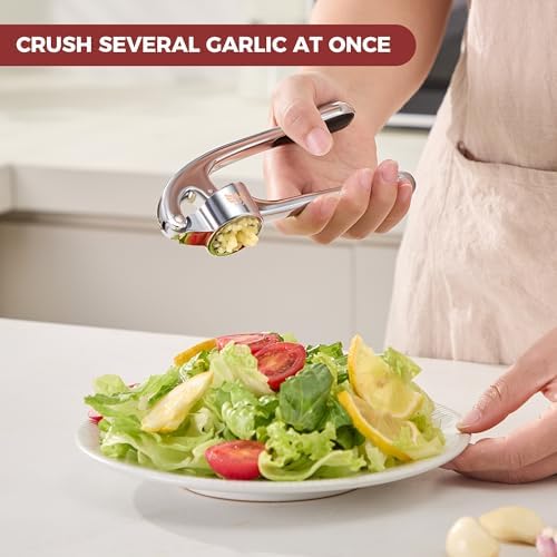 SAFI Garlic Press Set - Premium Zinc Alloy Garlic Mincer Efficient Garlic Crusher & Presser Heavy-Duty Rust-Proof Garlic Masher Kitchen Tool With Garlic Peeler & Brush Home & Kitchen Essential Gadgets