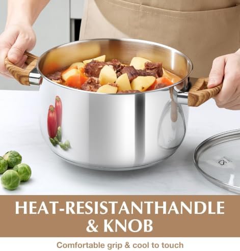KOCH SYSTEME CS 8 Quart Pot with Lid, Stainless Steel Stock Pot for Soup Pasta Sauce and Stew, Induction Compatible Cooking Pot with Glass Lid, Tri-Ply Bottom, Dishwasher Safe
