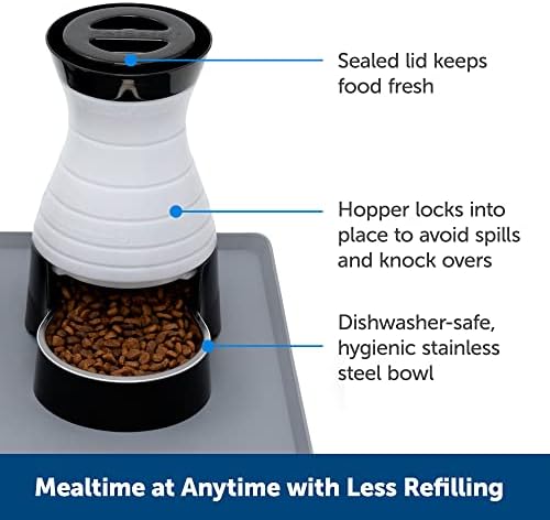 PetSafe Healthy Pet Food Station, 2 lb Gravity Feeder, Cats & Dogs, Small