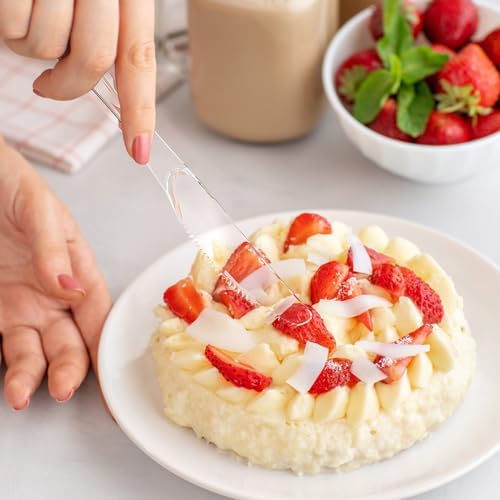 Dealusy 360 Count Extra Heavy Duty Clear Plastic Knives Disposable