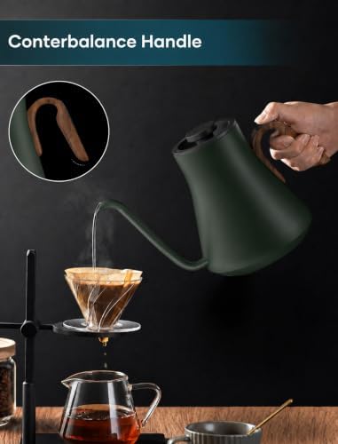 INTASTING Gooseneck Electric Kettle with ±1℉ Temperature Control, 0.9L