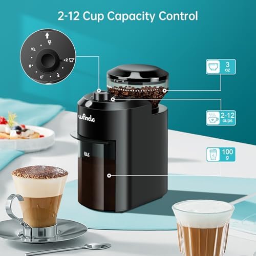 Wancle Electric Burr Coffee Grinder - Adjustable with 28 Precise Grind Settings for 12 Cups - Professional Coffee Bean Grinder (Plastic, Black)