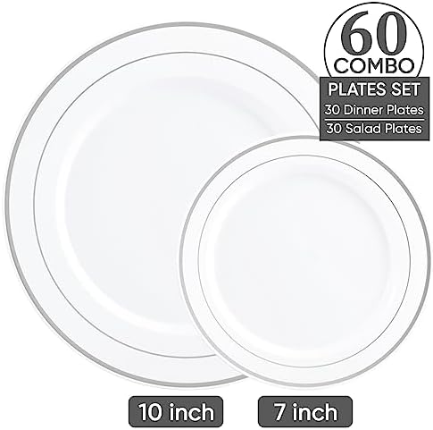FOCUSLINE Silver Plastic Plates Set of 60,Disposable Plates with Silver Rim