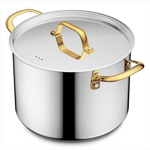 BEZIA 8 QT Stainless Steel Stock Pot with Lid, Uncoated Cooking Pot