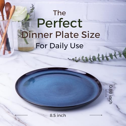 LERATIO Ceramic Plate Set of 6,8.5 Inch Reactive Glaze Salad Plates