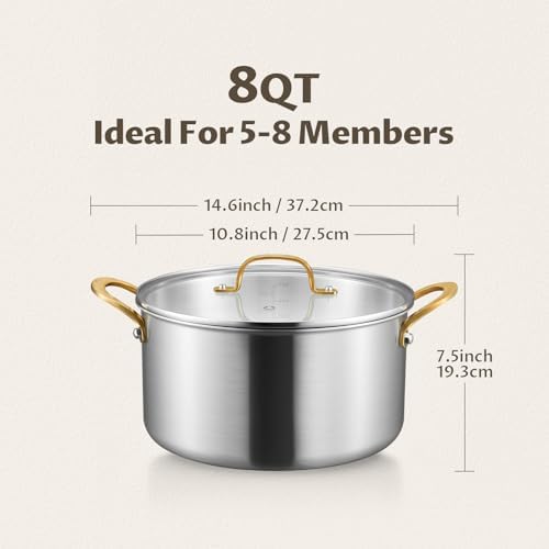 BEZIA 8 QT Stock Pot with Lid, Full Clad 3-Ply Stainless Steel Cooking Pot