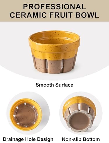 Gomakren Ceramic Berry Bowls with Holes Set of 2 for Fridge Yellow + Brown