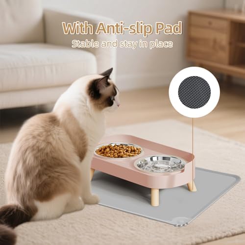 Elevated Cat Bowl with Food Mat, Raised Cat Food and Water Bowl Set for Indoor Cats, Splash Proof with 2 Stainless Steel Pet Food Bowls for Cats and Puppies,Whisker Fatigue and Dishwasher Safe (Pink)