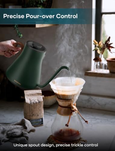 INTASTING Gooseneck Electric Kettle with ±1℉ Temperature Control, 0.9L