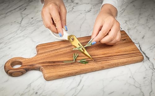 Abbott Collection Multi Purpose Kitchen Shears - Gold/Ivory