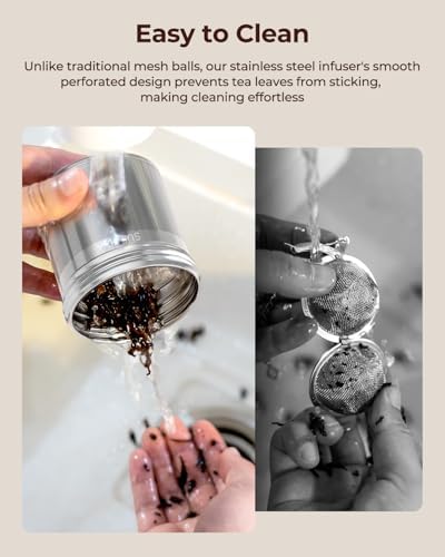 Reinmoson 2 Pack Extra Large Tea Infuser for Loose Leaf Tea & Spice Ball