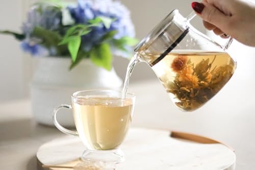 Teabloom One-Touch Tea Maker, 2-in-1 Teapot and Kettle with Stainless Steel Filter Lid for Loose Tea – Stain-Free Borosilicate Glass Tea Pot (15 Oz) – Tea Connoisseur's Choice
