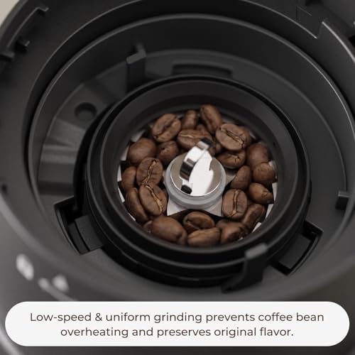 Conical Burr Coffee Grinder, 60 Settings, Anti-Static, Black