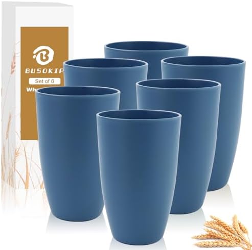 20 OZ Large Drinking Cups, Unbreakable Plastic Tumblers - Blue