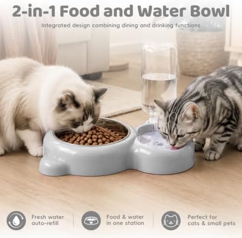 2-in-1 Dog Cat Bowl, Cat Food and Water Bowl Set, White