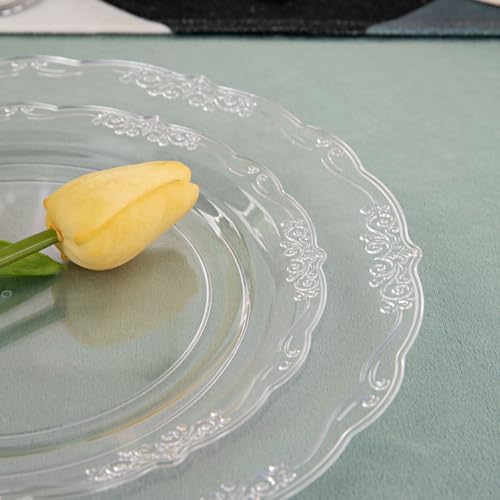 U-QE 100 Pieces Clear Plastic Plates - Clear Disposable Plates