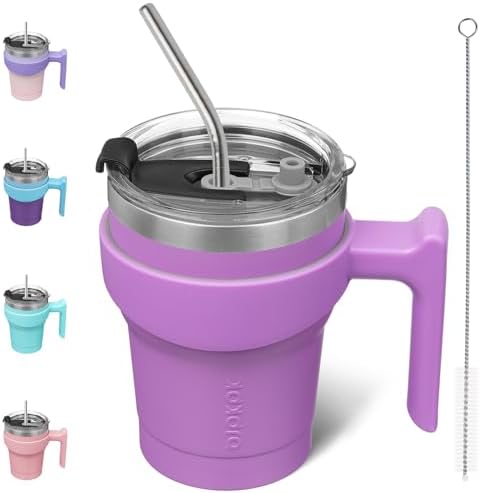 BJPKPK 10 oz Mini Tumbler with Lid, Straw & Handle, Insulated Steel Cup