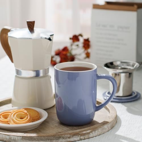CEEFU 16oz Porcelain Tea Mug with Infuser, Lid and Coaster