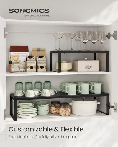 SONGMICS Spice Rack, Expandable Kitchen Countertop Shelf, Steel, Set of 1