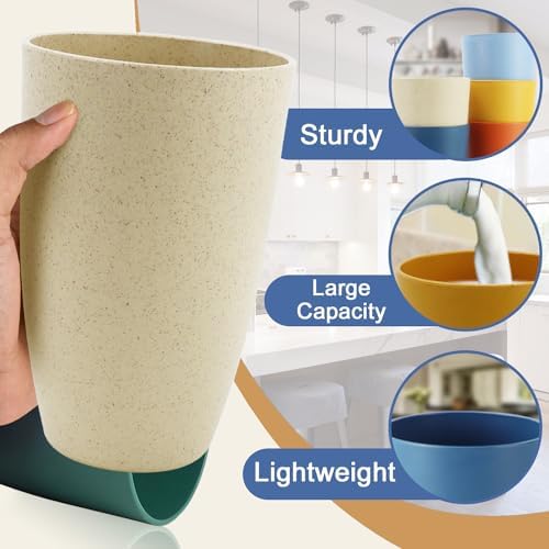 20 OZ Wheat Straw Cups, Large Plastic Cups Set of 6 (Multicolor)