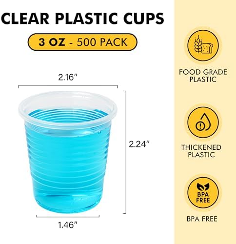 RACETOP 100 Pack 3 oz Plastic Cups, Clear Disposable Plastic Cups Bulk, Cold Drinking Party Cup, Transparent for Wedding, Thanksgiving, Christmas, Party