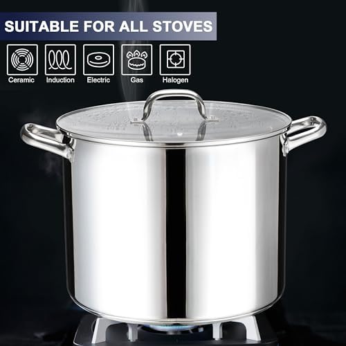 LIANYU Stainless Steel Large Stock Pot, 24 QT Heavy Stockpot with Glass Lid