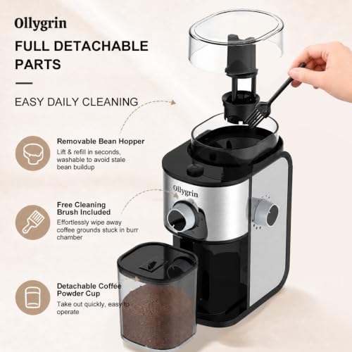 Electric Flat Burr Coffee Grinder, Coffee Grinder with 14 Grinding Settings, Burr Mill Grinder with 7oz Bean Hopper, Compact for Espresso, Drip & French Press, Shiny Silver