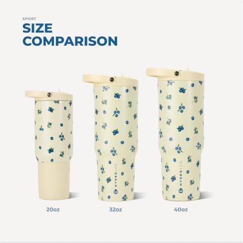 HydroJug Sport 32 oz Insulated Stainless Steel Water Bottle, Freshly Pick'd