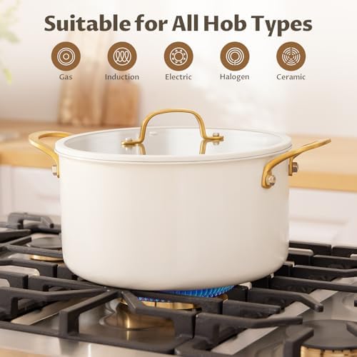BEZIA 8 Quart Full Clad Try-Ply Stainless Steel Stock Pot, Induction Ready