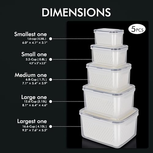 HOTEC 5-Pack Fruit Storage Container for Fridge, 4.15L
