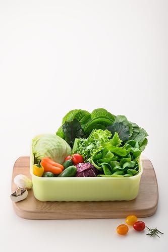 LocknLock Fresh-Block Plastic Food Storage Container | Produce Storage Containers for Fridge | Vegetable & Fruit Storage Containers for Fridge, Storage, Microwave & Dishwasher Safe 330ml