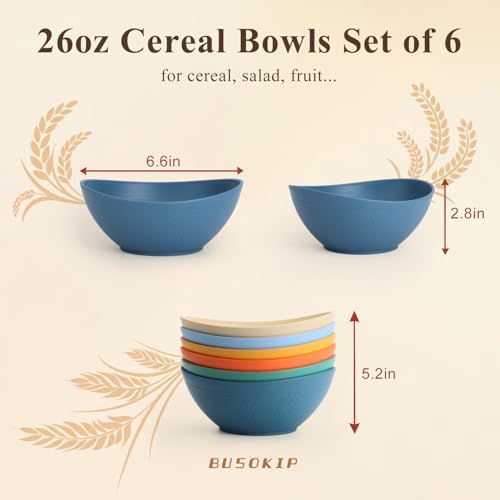 Wheat Straw Bowls 26oz, Unbreakable Cereal Bowl Set of 6 - Multi