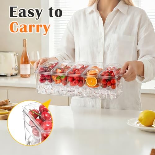 ARSTPEOE Condiment Tray, Chilled Condiment Server, Bar Accessories on Ice