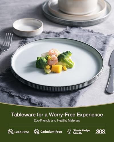 Famiware Star Stoneware Dinnerware Sets for 8, Reactive Glaze Plates, Bowls